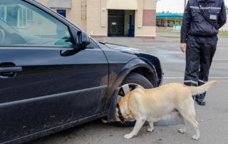 patrol dog and officer inspecting abandoned vehicle