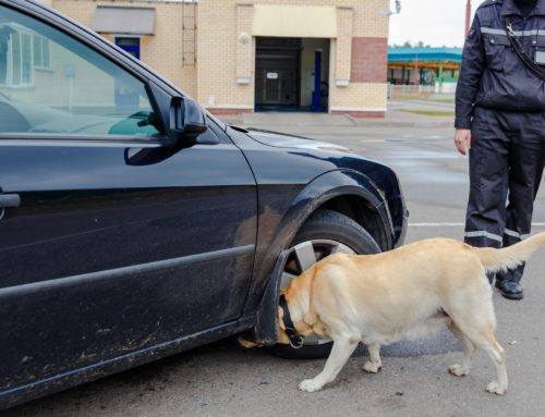 Client Success: Customs and Border Protection (CBP)