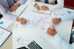 expert providing evaluation consultation services to stakeholders